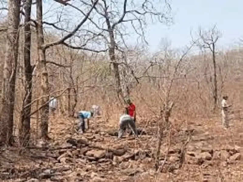 बेतवा को नया जीवन देने जुटे लोग, झिरी में एक दिन में बने 28 चेक डैम, 6 दिन में आंकड़ा 55 पहुंचा