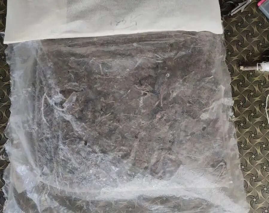 वीरपुर पुलिस की बड़ी कार्रवाई, 1.95 किलो गांजा बरामद; एक तस्कर गिरफ्तार