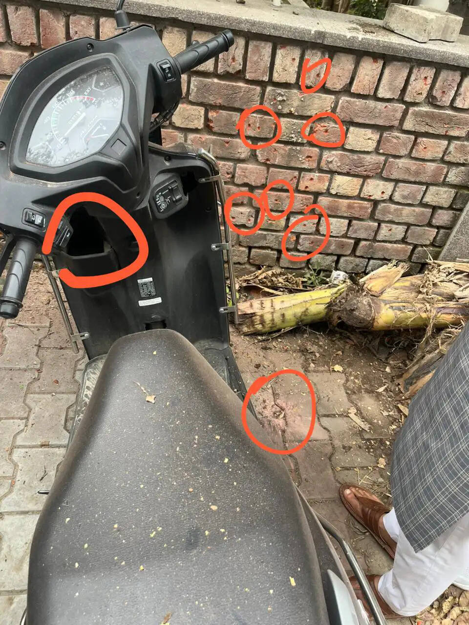 चंडीगढ़ में पंजाब भाजपा मुख्यालय के बाहर धमाका, इमारत के शीशे टूटे, एक वाहन क्षतिग्रस्त