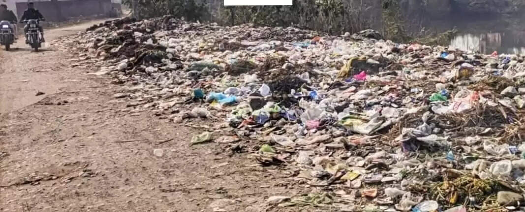 स्वच्छता अभियान में लापरवाही पर सहायक विकास अधिकारी पंचायत के वेतन रोकने के निर्देश