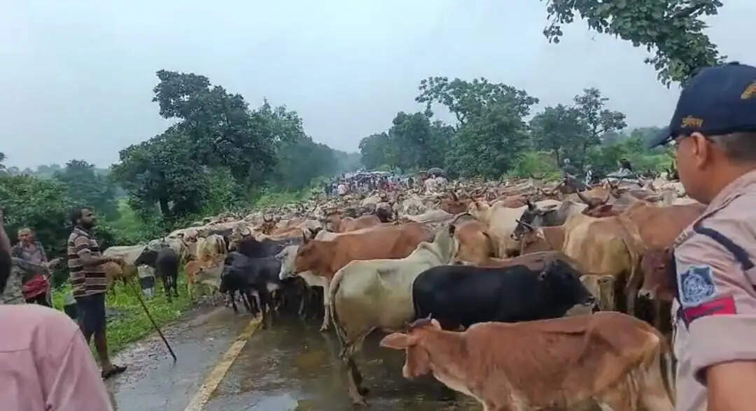 शहडोल: ब्यौहारी में गौशाला की मांग करना महंगा पडा, भाजपा नेता एवं जिला पंचायत सदस्य मामला दर्ज