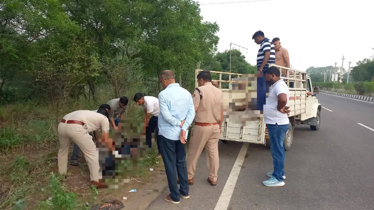 झज्जर-गुरग्राम मार्ग पर मिले दो शव, हत्या करके फेंकने की आशंका