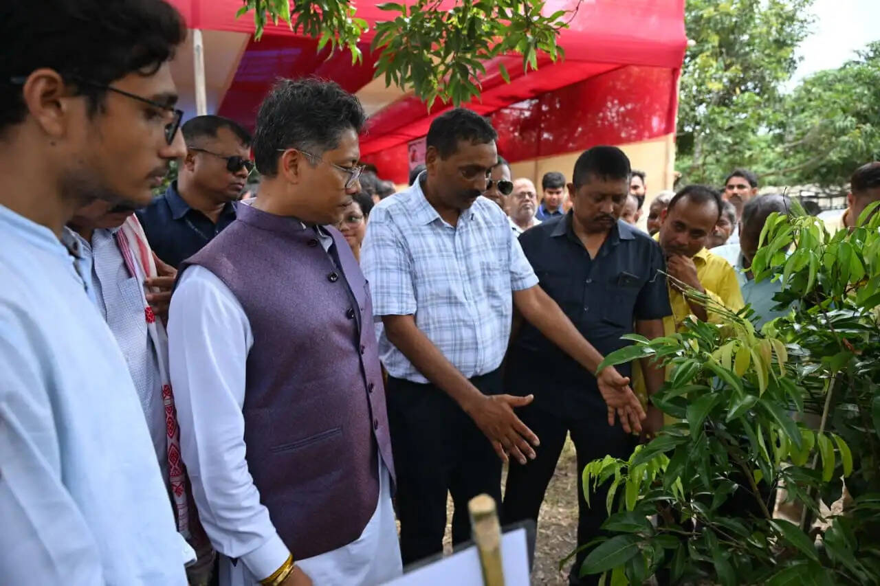 तेजपुर की प्रसिद्ध लीची के दो लाख पौधे तैयार करने के निर्देश