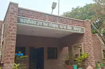 वन्यजीवों के लिए सिर्फ छह लाख का बजट : चिन्हित स्थानों पर टैंकरों से पहुंचाया जाएगा पानी