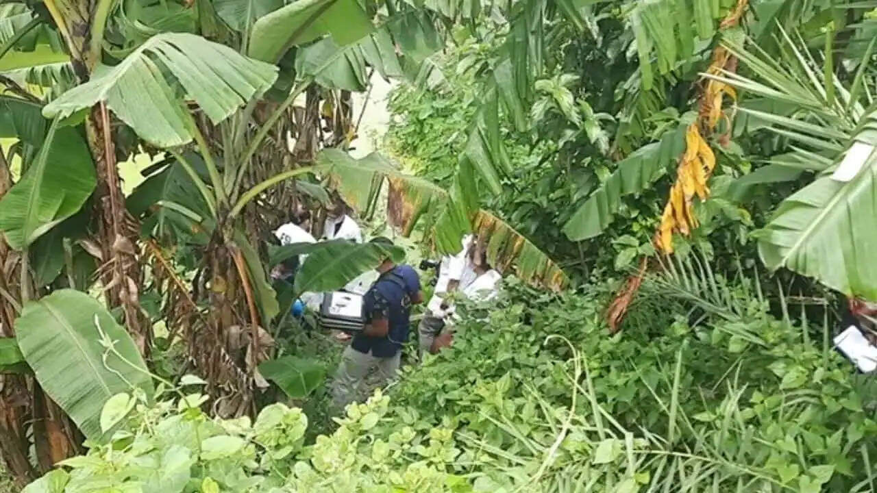 बारुईपुर सामूहिक दुष्कर्म-हत्या मामला : तीन आरोपितों के साथ घटनास्थल का पुनर्निर्माण, सीआईडी भी जांच में जुटी