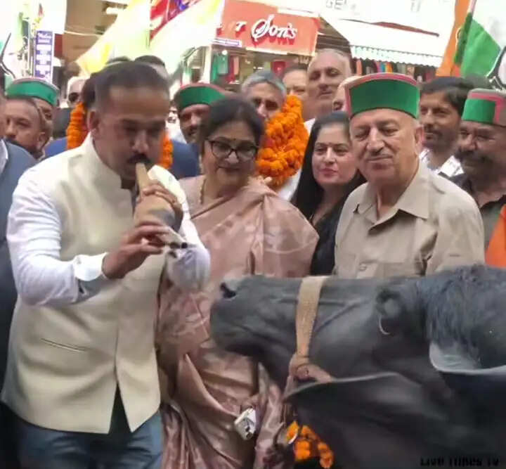 सोलन में कांग्रेस ने केंद्र सरकार को घेरा, भैंस के सामने बजाई बीन