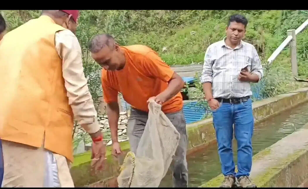 ट्राउट मत्स्य पालन से आत्मनिर्भर बने दिनेश, सालाना पांच लाख रुपये की आय