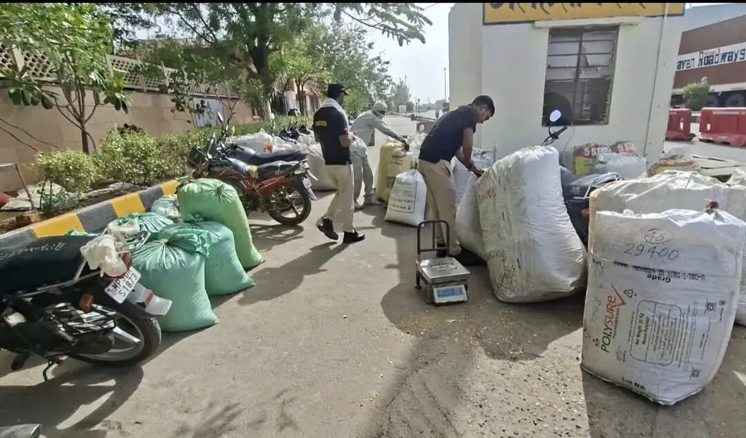 सीबीएन राजस्थान यूनिट की कार्रवाई, तीन ऑपरेशन में 1229 किलो डोडा चूरा जब्त, दो ट्रक भी पकड़े