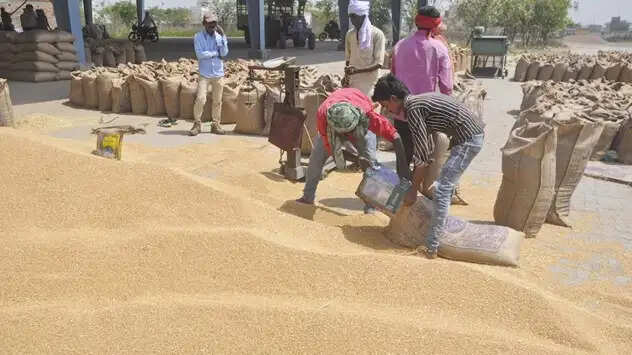 मप्र में दो दिन में किसानों से हुई 3 लाख 6 हजार 190 क्विंटल गेहूँ खरीदी, 6 करोड़ से अधिक का हुआ भुगतान