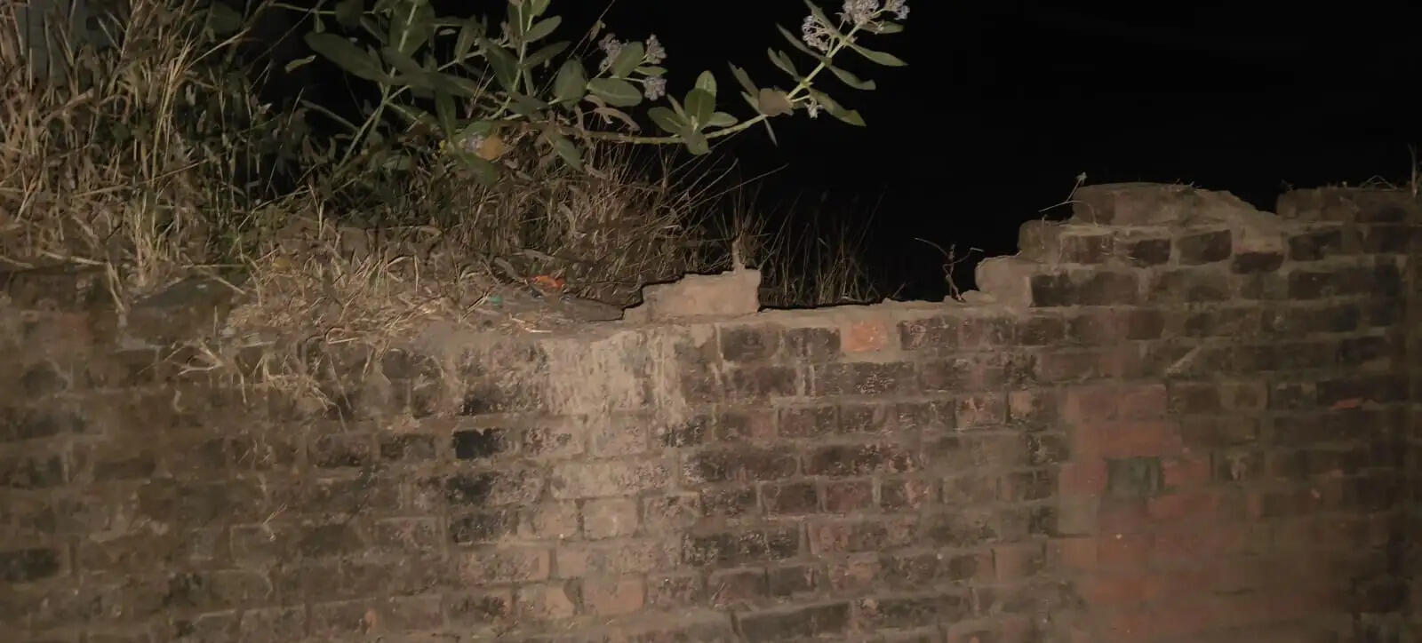 अनूपपुर: हाथी ने ग्राम आमाडांड में दो ग्रमीणों के घरों की बाउंड्री वॉल तोडी