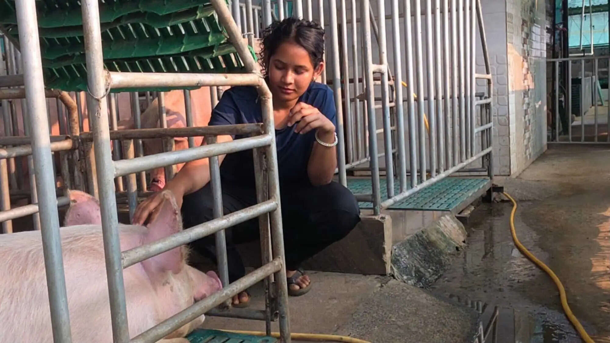 बस्तर की ग्रेसी दुग्गा ने आधुनिक सूकरपालन से गढ़ी सफलता की नई कहानी