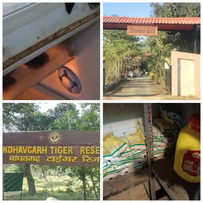 बांधवगढ़ के रिसोर्ट में पर्यटक खा रहे गरीबों का सरकारी नमक