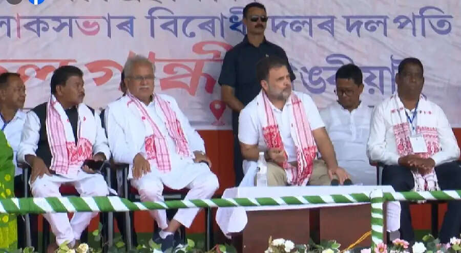 राहुल गांधी ने चुनावी सभा में प्रधानमंत्री एवं मुख्यमंत्री पर साधा निशाना