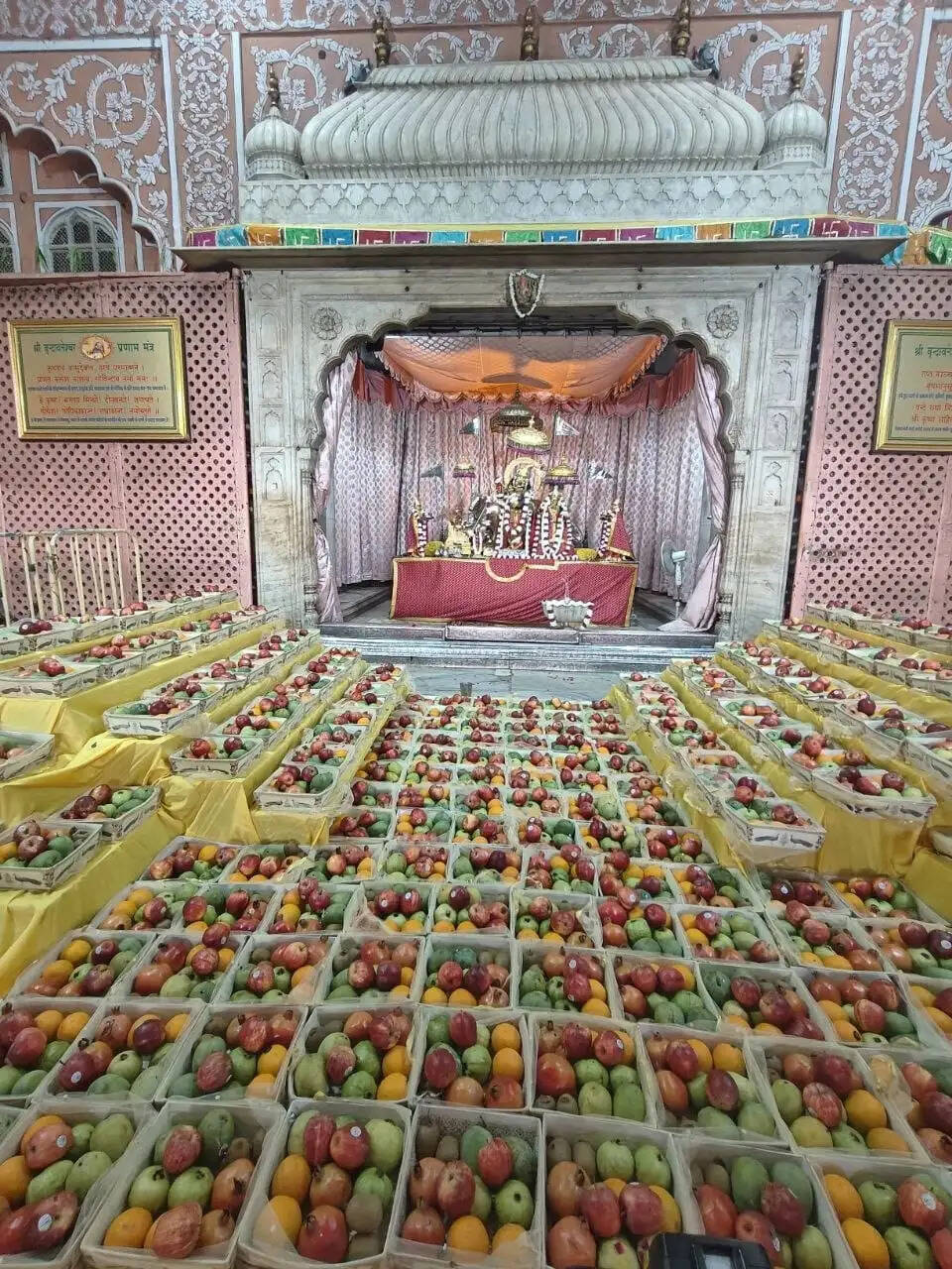 देवशयनी एकादशी पर गोविंददेवजी मंदिर में गूंजे वैदिक मंत्र