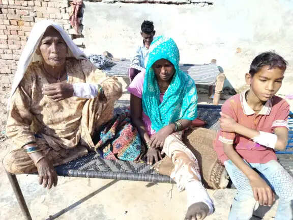 कैथल: साैथा में घुसे जंगली जानवर ने किया परिवार पर हमला, चार घायल