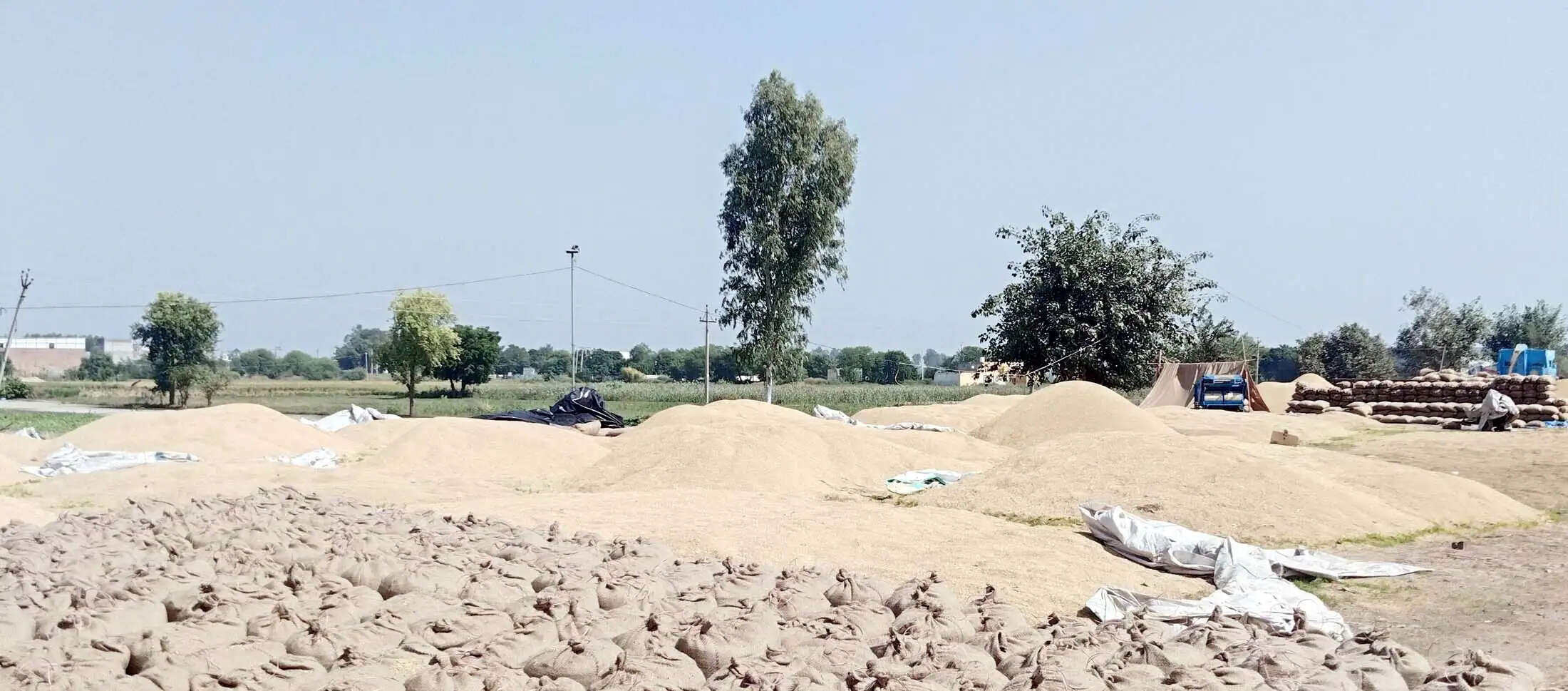 जींद : खरीद केंद्र पर धीमा उठान, फसल डालने के लिए नहीं बची जगह