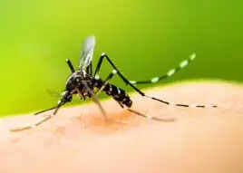 उप्र में मलेरिया के मरीजों की संख्या में आई सात गुना की गिरावट