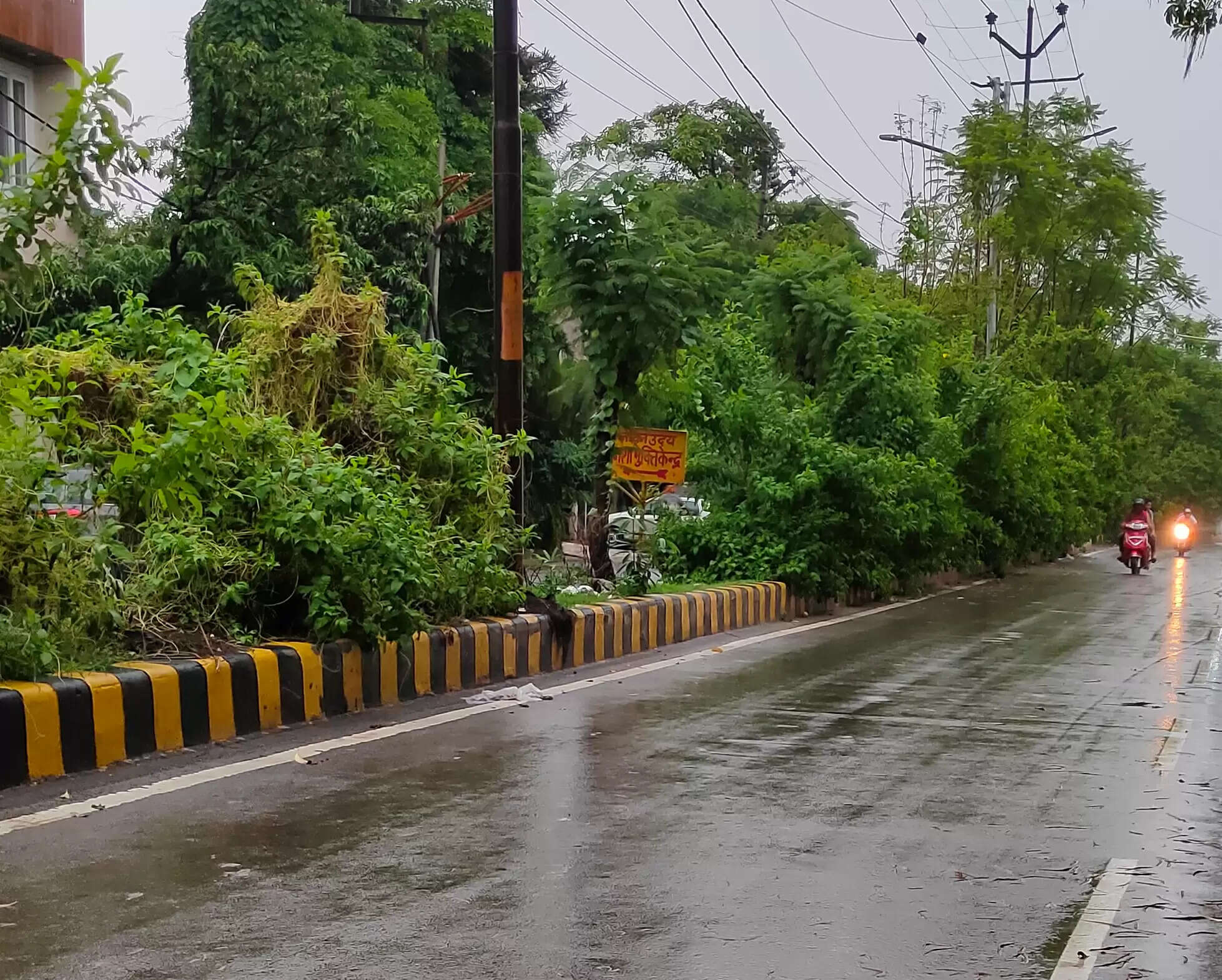 दिनभर उमस भरी गर्मी के बाद शाम को हुई झमाझम बारिश, गर्मी से मिली निजात