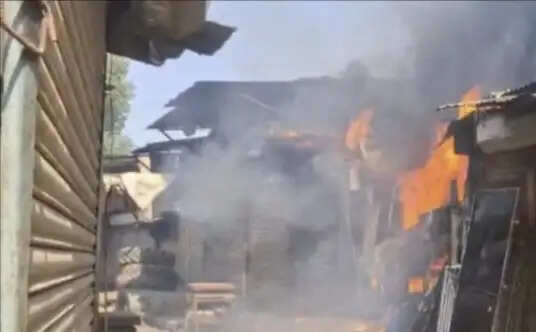 जबलपुरः गुरंदी मछली मार्केट में भीषण आग, शॉर्ट सर्किट की आशंका; लाखों का नुकसान