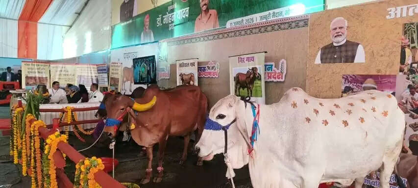 कृषक कल्याण वर्ष-2026 के शुभारंभ अवसर पर लगी प्रदर्शनी में आंध्र प्रदेश की प्रसिद्ध पुंगनूर गाय बनी आकर्षण का केंद्र