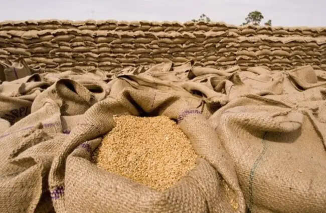 मप्रः खरीदे गए गेहूँ में कमी के कारणों की पहचान करने के लिए जिला उपार्जन समितियों को दिए निर्देश