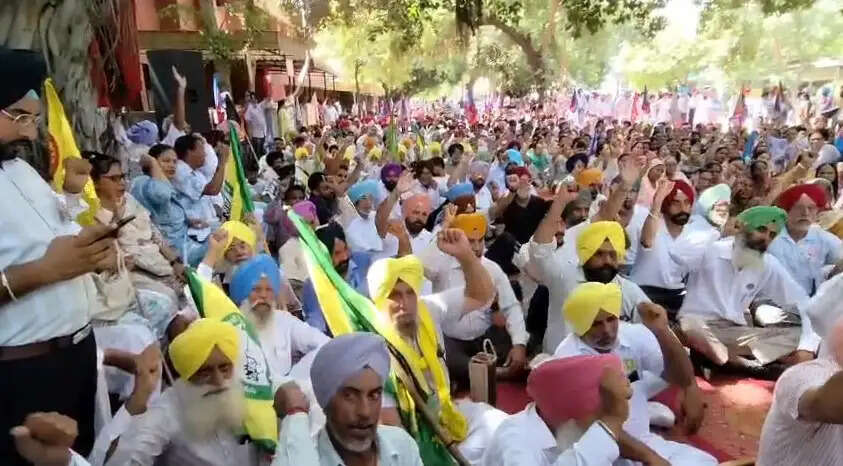 पंजाब में ‘महाहड़ताल’ से सरकारी अस्पतालों की ओपीडी से दफ्तरों तक पड़ा असर