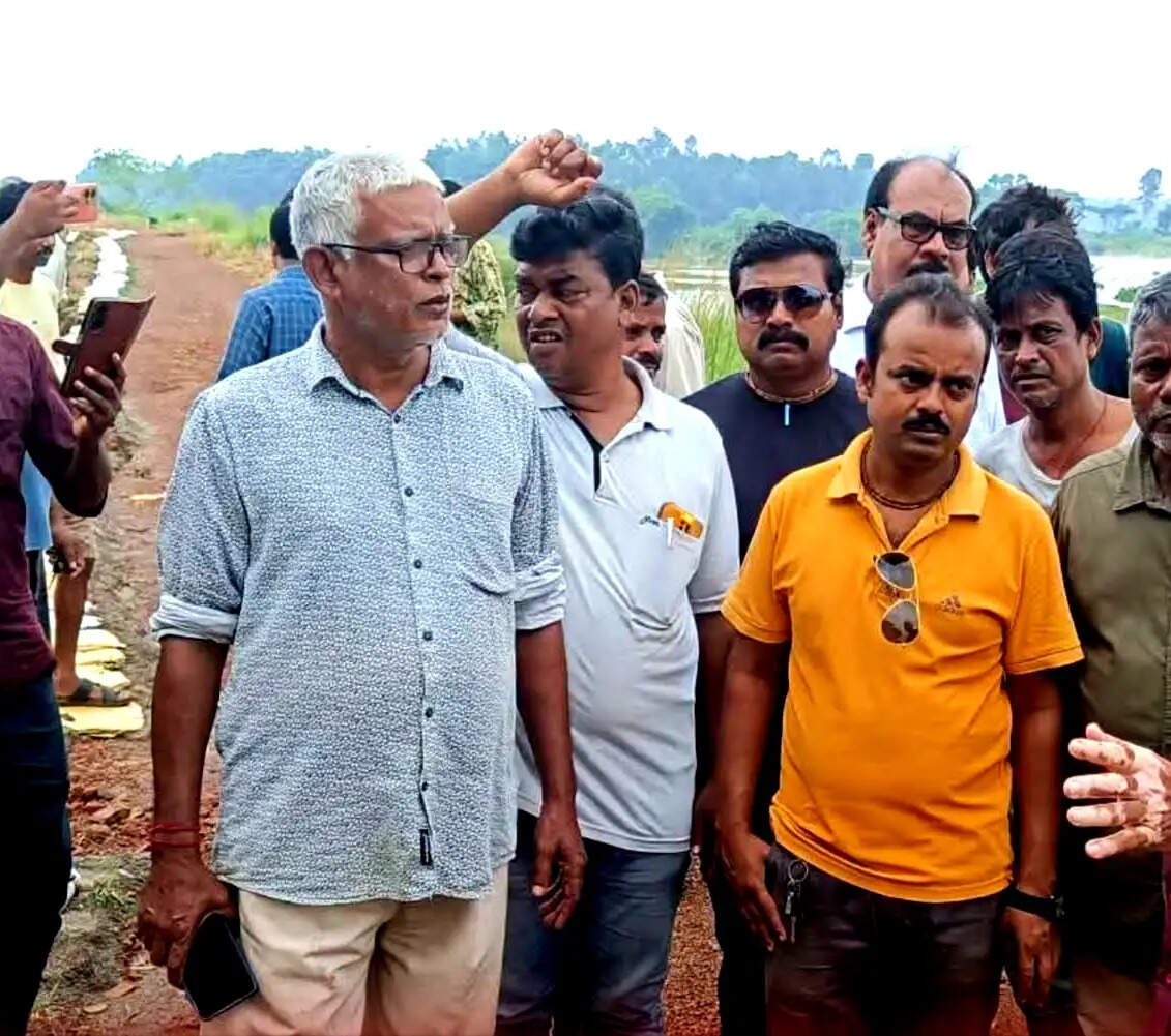 लगातार बारिश से सबंग के कई इलाके जलमग्न, सिंचाई मंत्री ने किया मौके का निरीक्षण