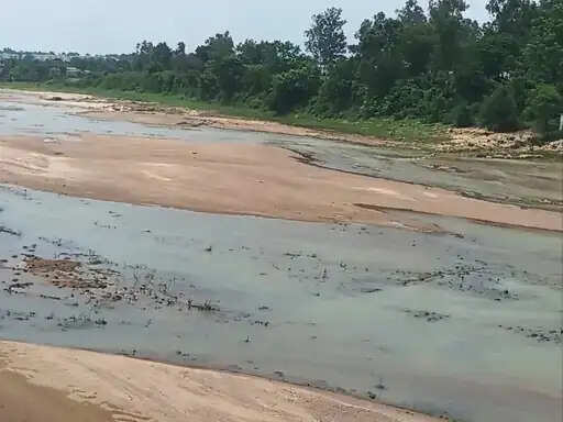 अनूपपुर: जिले मानसून की रफ्तार पड़ी धीमी, किसानों को रोपाई के लिए बारिश का इंतजार