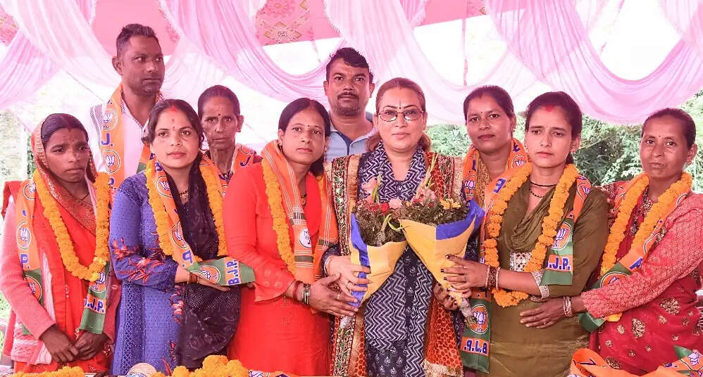 कैबिनेट मंत्री आर्या ने सोमेश्वर क्षेत्र में सुनी जनसमस्याएं