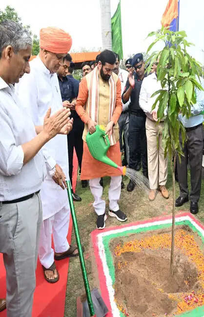 हरियाणा:&nbsp;सूरजमुखी की खेती करने वाले किसानों के लिए 60 दिनों के लिए दोबारा खुलेगा पोर्टल