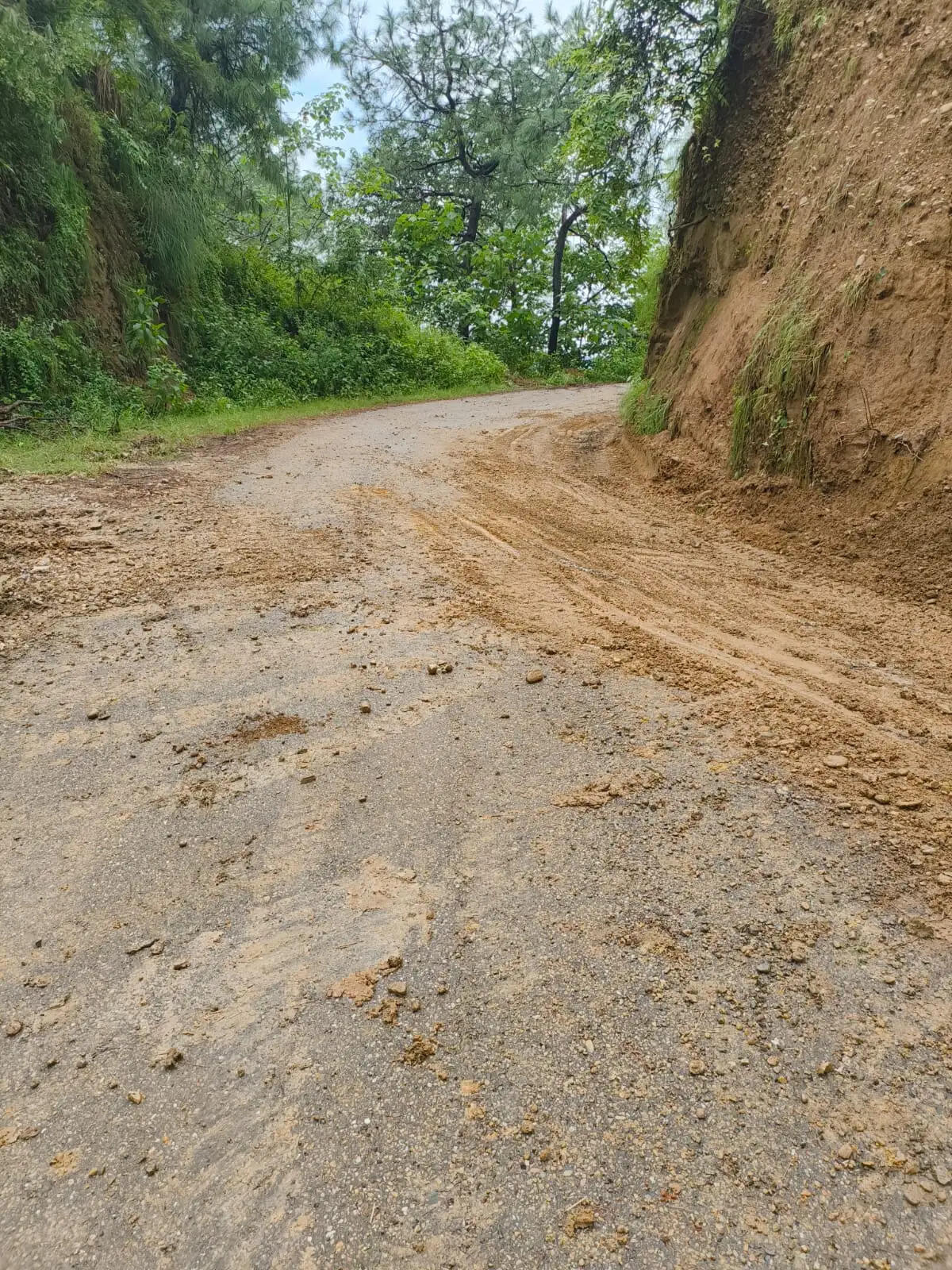 भारी बारिश से अवरुद्ध हुई सड़कों को पीडब्ल्यूडी ने किया बहाल