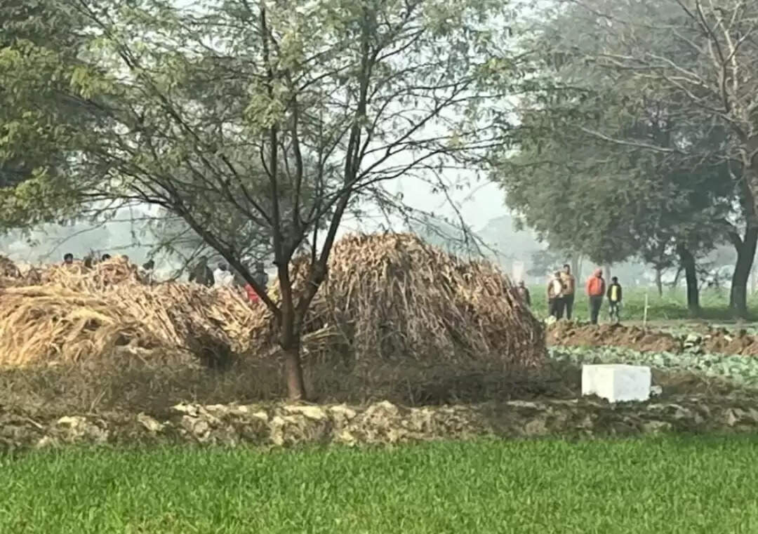 पशुचर एवं वृक्षारोपण की 28 बीघा भूमि से पुलिस प्रशासन ने हटवाया अवैध कब्जा