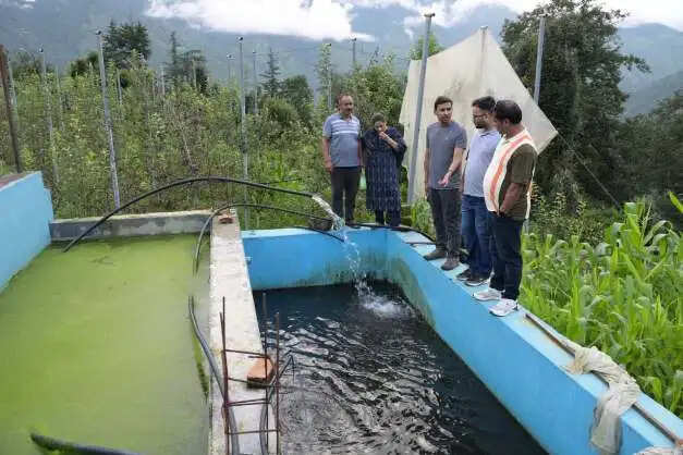 ट्राउट पालन से बलवीर ने संवारी आजीविका, 15 क्विंटल उत्पादन से छह लाख रुपये का मुनाफा