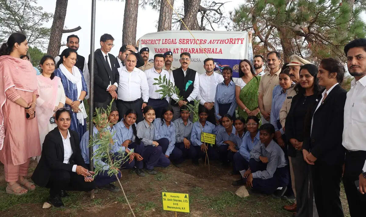विधिक सेवा प्राधिकरण द्वारा पौधरोपण एवं पर्यावरण संरक्षण अभियान के तहत सराह में रोपे पौधे