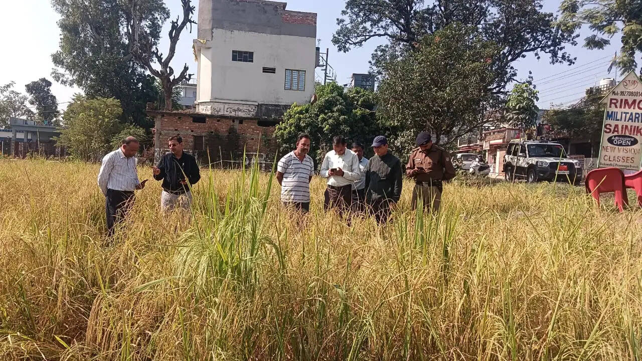 धान फसल कटाई प्रयोग का अपर जिलाधिकारी ने किया निरीक्षण