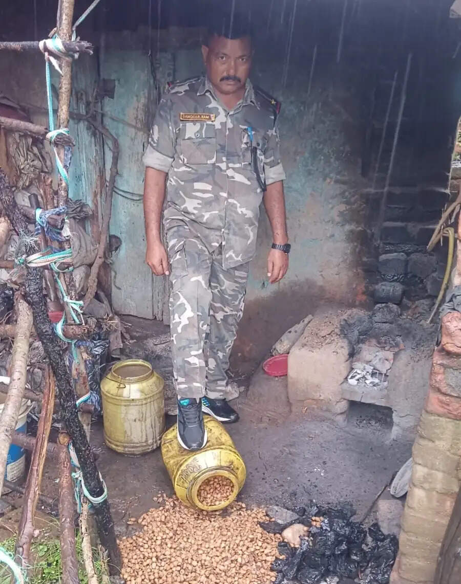पुलिस ने 4.50 क्विंटल जावा महुआ किया नष्ट