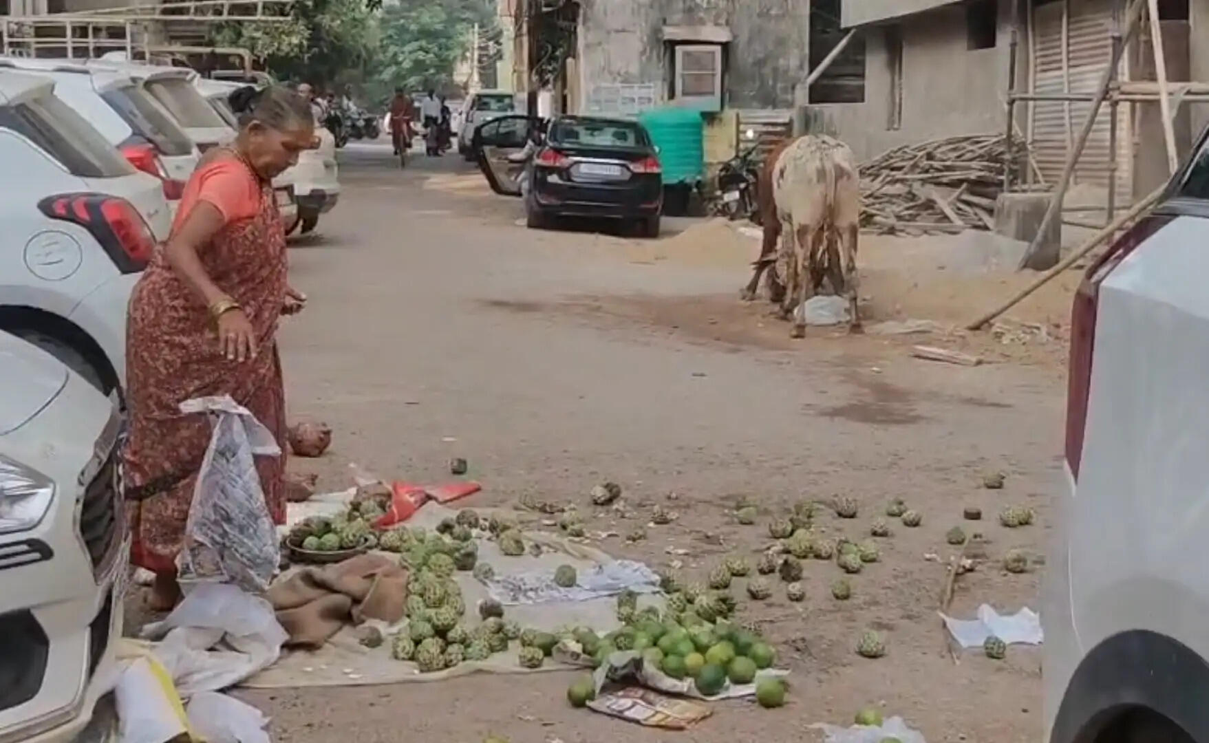 बीच बाजार मची अफरा-तफरी, फल-सब्जियां सड़क पर बिखरीं; मवेशियों का आतंक