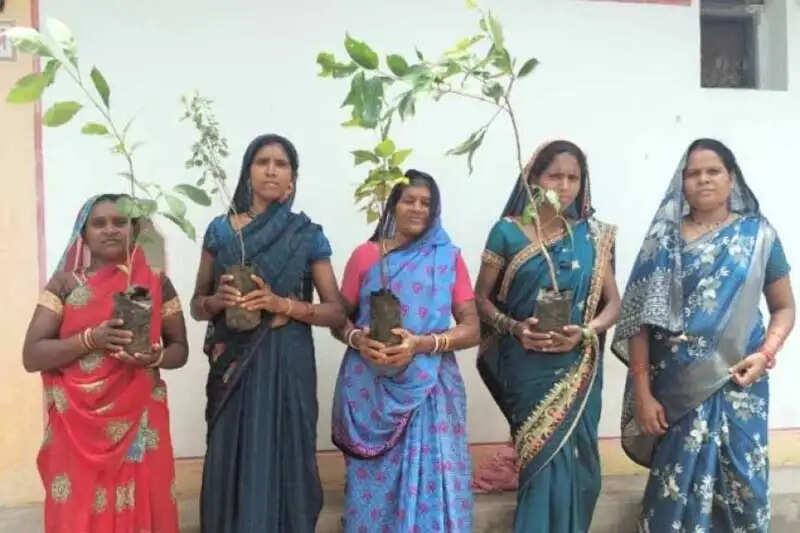 छत्तीसगढ़ में पहली बार महतारी वंदन वृक्षारोपण अभियान का शुभारंभ&nbsp;आज