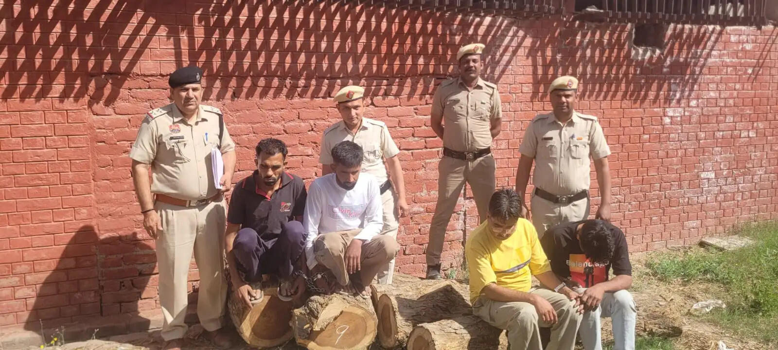 सिरसा: हरे पेड़ काटने के चार आरोपी गिरफ्तार
