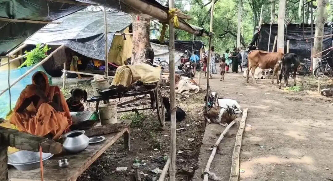 भागलपुर में गंगा का रौद्र रूप: आशियाने बहे, अब दाने-दाने को तरस रहे बाढ़ पीड़ित