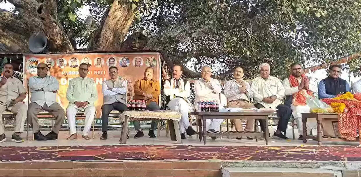 अशोक कौल, सुरजीत सिंह सलाथिया ने देवयानी राणा के पक्ष में जनसभा को संबोधित किया