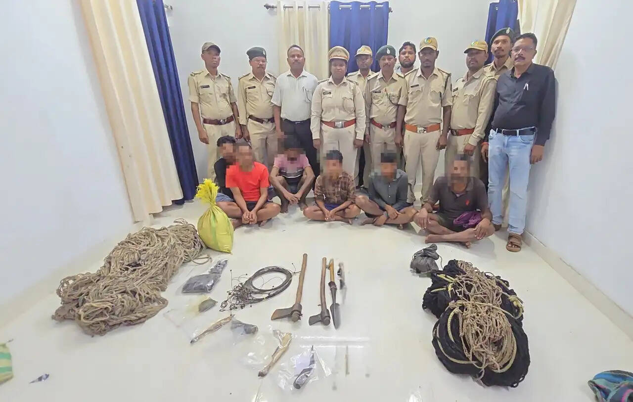 रायपुर : इन्द्रावती टाइगर रिजर्व में वन्यजीव शिकार पर बड़ी कार्रवाई, छह आरोपित गिरफ्तार
