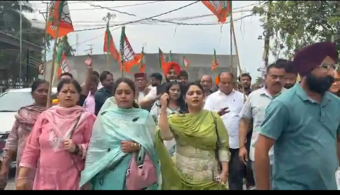 पांवटा साहिब में भाजपा का सरकार के खिलाफ प्रदर्शन