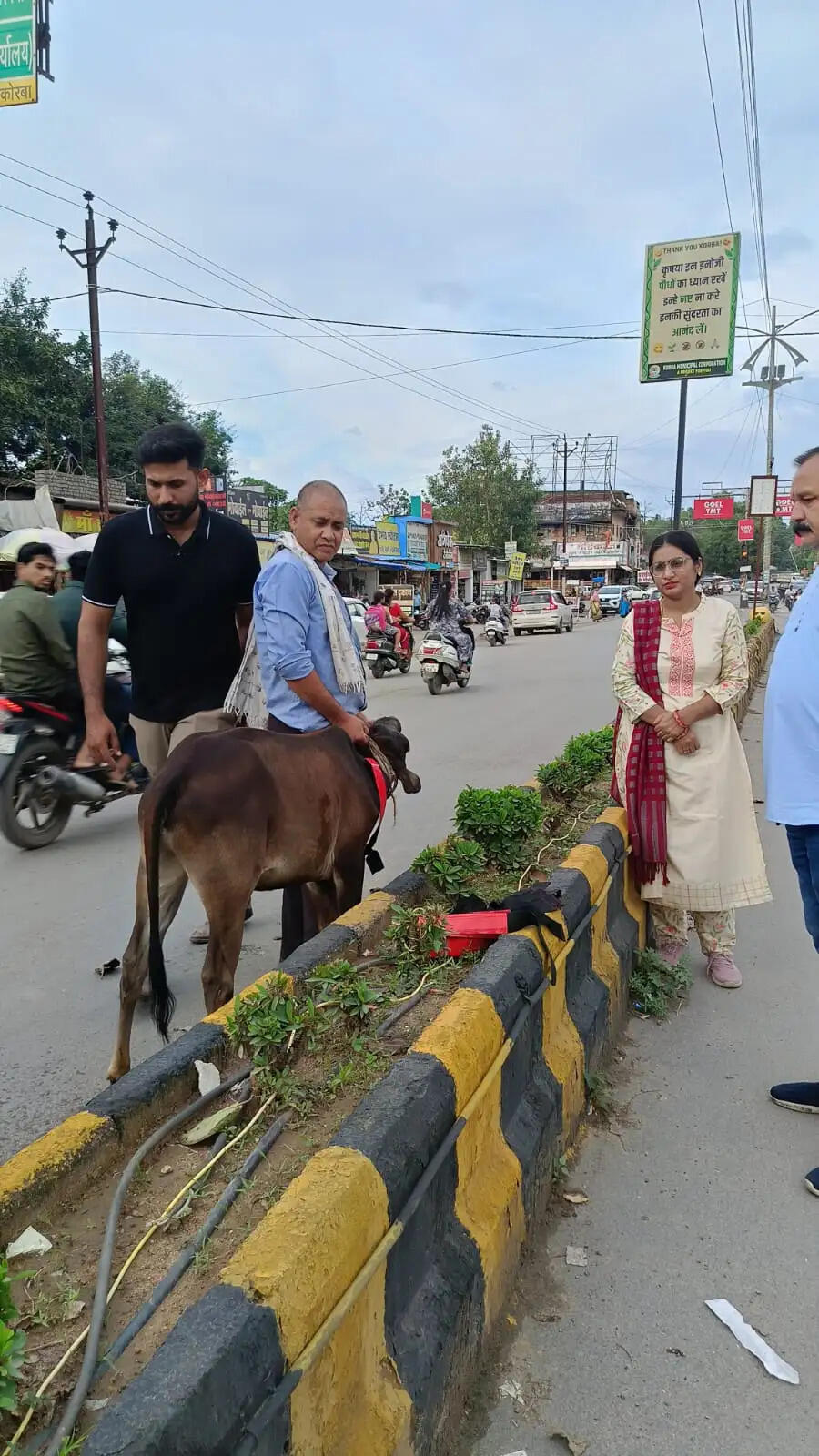 कोरबा में आवारा मवेशियों के खिलाफ अभियान तेज