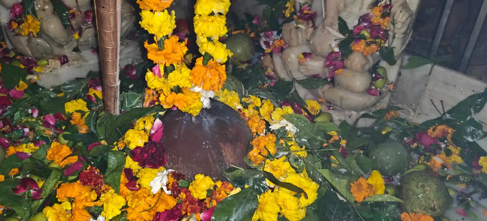 मुरादाबाद में महाशिवरात्रि की धूम, हर-हर महादेव के जयकारों से गूंजे शिवालय