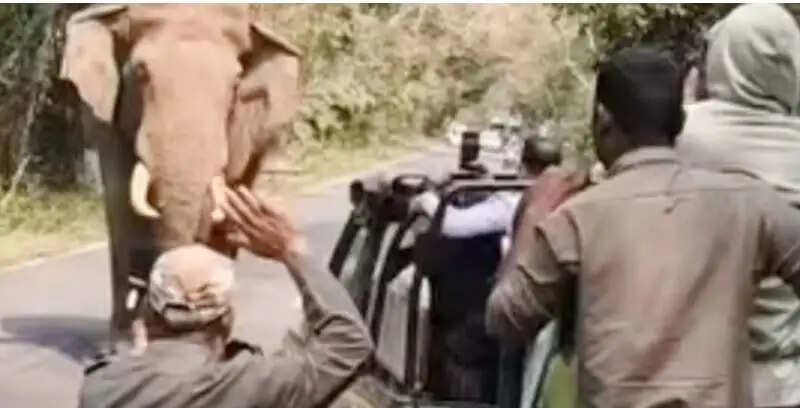 लाटागुड़ी जंगल सफारी में बढ़ा खतरा, नियम तोड़ने पर जिप्सी परमिट रद्द करने की चेतावनी