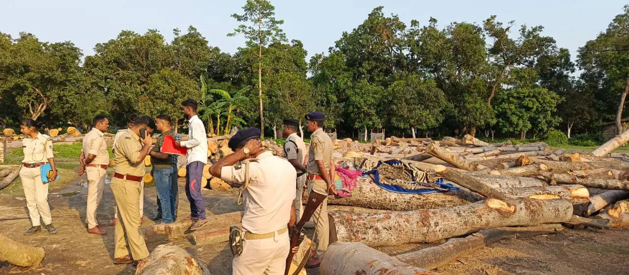 अवैध प्लाईवुड मिल को पुलिस ने किया सील