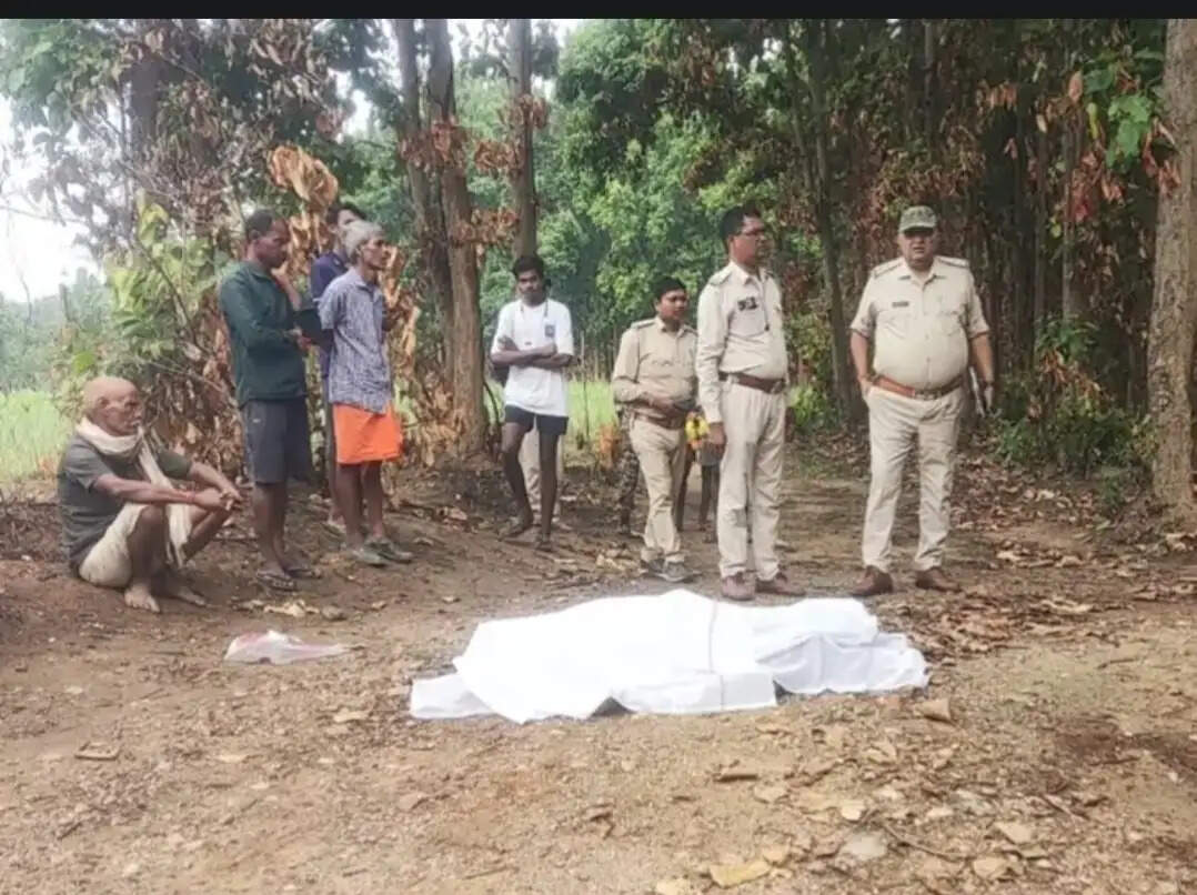 बलरामपुर : जंगल गए दंपती पर दंतैल का हमला, दोनों की मौत से गांव में दहशत