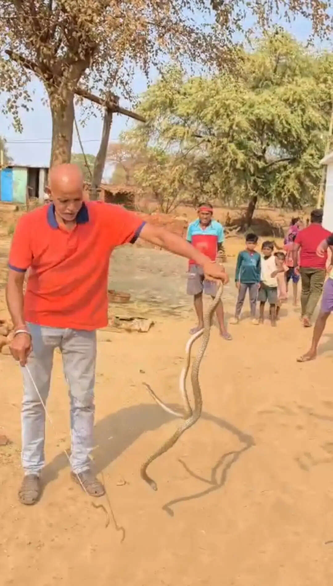 ग्राम अमेठी में दो गेहुंआ सांपों का सफल रेस्क्यू, सर्प मित्र सूर्यकांत साहू ने बचाई जान