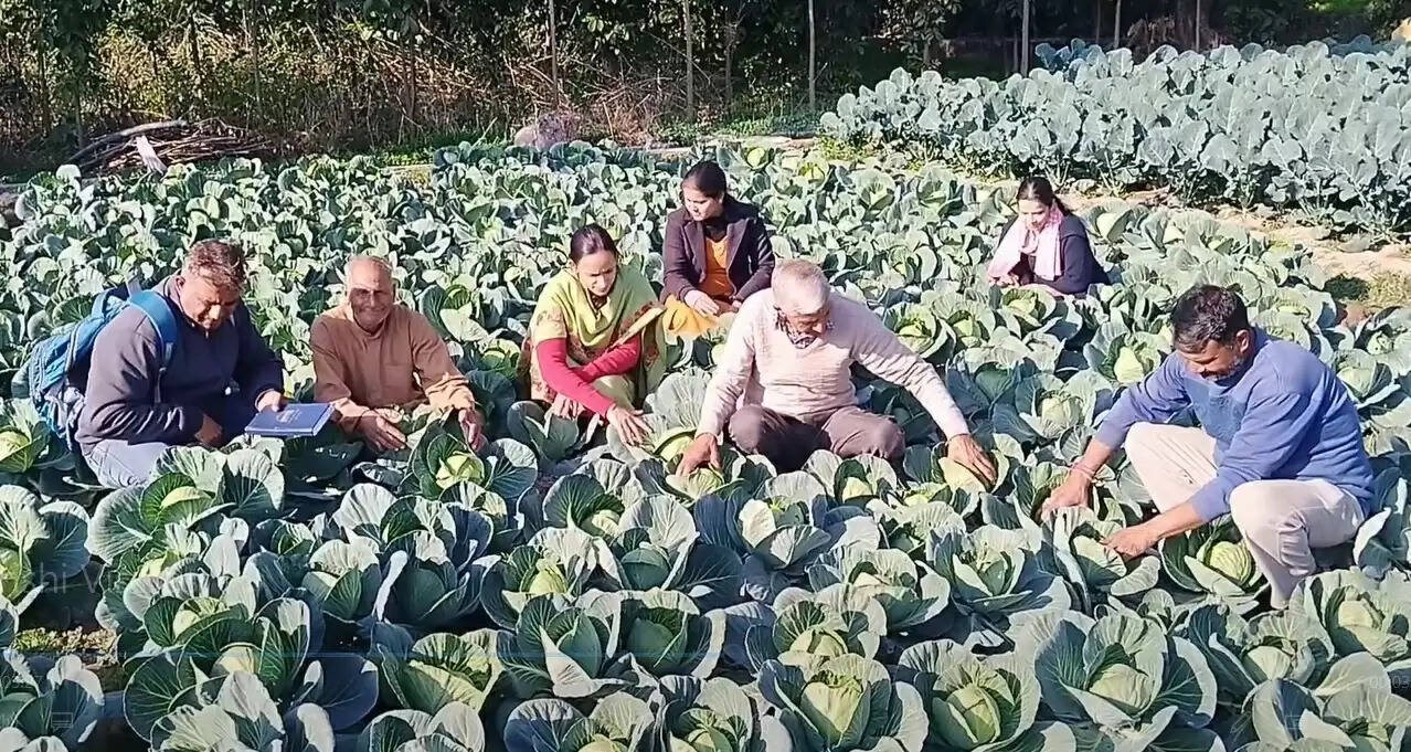 सौर सिंचाई योजनाओं ने बदली खेती की तस्वीर, किसानों की आर्थिकी हुई मजबूत